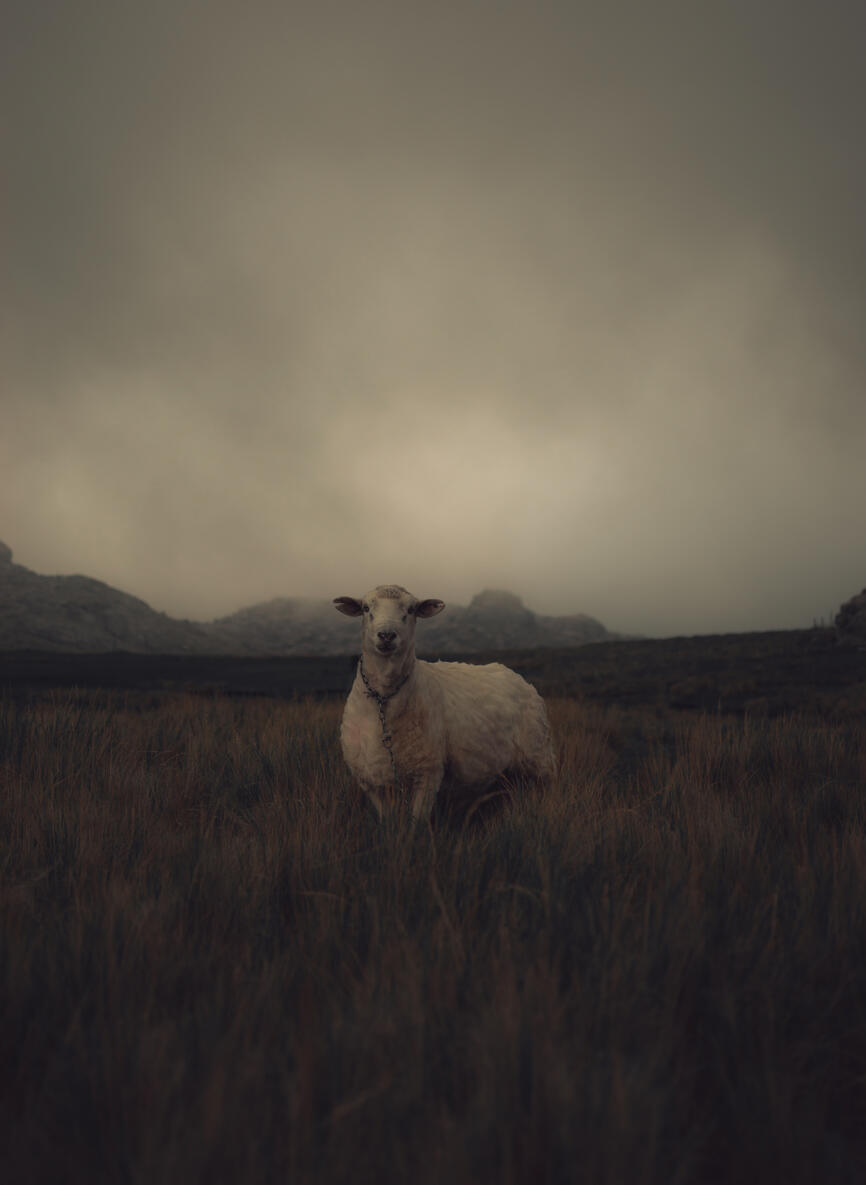 Untitled Untitled